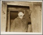 Clarence Tilton, bachelor. Oswego County, New York