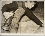 Dalton (vicinity), Allegany County, New York. Fred Ess, a submarginal farmer