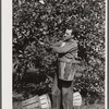 Picking apples. Some of these men are migratory workers. Others come from Philadelphia and Trenton. Camden County, New Jersey