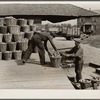 Unloading apples from orchard at packinghouse. Camden County, New Jersey