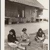 Girls who work in apple packinghouse eating lunch. Some of these girls are migratory workers and others come from nearby large cities like Philadelphia and Trenton. Camden County, New Jersey