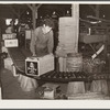 Apple packinghouse worker. Camden County, New Jersey