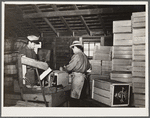 Nailing boxes packed with apples. Camden County, New Jersey