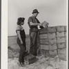 Cranberry picker at checking station. Burlington County, New Jersey