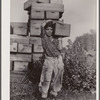 Girl picker at cranberry bog. Three-fourths of the cranberry pickers are children. Burlington County, New Jersey