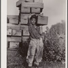 Girl picker at cranberry bog. Three-fourths of the cranberry pickers are children. Burlington County, New Jersey