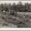 Mechnical potato digger. Monmouth County, New Jersey