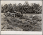 Mechnical potato digger. Monmouth County, New Jersey