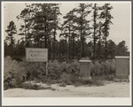 Unsuccessful real estate development in sandy pine area. Burlington County, New Jersey
