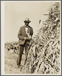 Farm laborer who has seasonal employment on corporation farms housing corn grown on vacant lot. "Eighty Acres," Glassboro, New Jersey