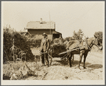 Vacant lots are used as gardens by farm workers living at "Eighty Acres." Glassboro, New Jersey