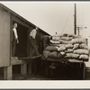 Unloading bags of potatoes at railroad yard. Freehold, New Jersey