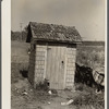 Privy behind farm laborer's shack. "Eighty Acres," Glassboro, New Jersey