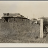 "Eighty Acres," real estate development that failed, in which agricultural laborers for nearby corporation farms live. Glassboro, New Jersey