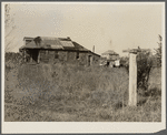 "Eighty Acres," real estate development that failed, in which agricultural laborers for nearby corporation farms live. Glassboro, New Jersey