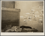 Room in which migratory agricultural workers sleep. Camden County, New Jersey