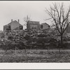 A rocky farm in western Virginia. Alleghany County