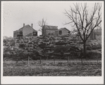 A rocky farm in western Virginia. Alleghany County