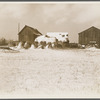 Dalton, Allegany County, New York. Farm of Fred Ess