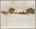 Dalton, Allegany County, New York. Farm of Fred Ess