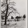 Farm near Dalton, New York. Allegany County