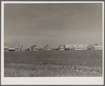 Houses and barns. Wabash Farms, Indiana