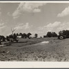 Land unfit for farming. Martin County, Indiana. Erosion