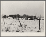 Winter farm scene. Williamson County, Illinois