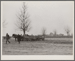 Farmers' wagons near community store. Southeast Missouri Farms. [New Madrid County]