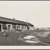 Family living in tool shed of Western Coal Company mine number two. Franklin County, Illinois