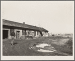 Family living in tool shed of Western Coal Company mine number two. Franklin County, Illinois