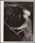 Miner breaking coal off the face. Old Ben number eight. West Frankfort, Illinois