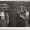 Iron rails used to support the roof of the mine. Old Ben number eight. West Frankfort, Illinois