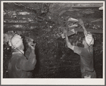 Iron rails used to support the roof of the mine. Old Ben number eight. West Frankfort, Illinois