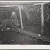 Mechanical cutting machine that increases coal production. Old Ben number eight mine. West Frankfort, Illinois