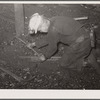 Laying track underground. Old Ben number eight mine. West Frankfort, Illinois