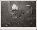 Laying track underground. Old Ben number eight mine. West Frankfort, Illinois
