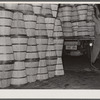 Loading crates of cabbages at produce market. Pier 29. New York City