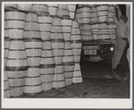 Loading crates of cabbages at produce market. Pier 29. New York City