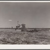 Tractor pulling a noble blade along a fallow strip on Henry Sheffels' farm. Cascade County, Montana