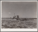 Tractor pulling a noble blade along a fallow strip on Henry Sheffels' farm. Cascade County, Montana