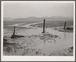In the plains area most of the annual ten inches of rain comes in torrents. Custer County, Montana. They create gullies and sheet erosion