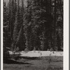 Melting snows on Skalkaho Pass. Montana