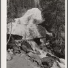 Skalkaho Falls. Deer Lodge National Forest, Montana