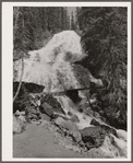 Skalkaho Falls. Deer Lodge National Forest, Montana