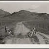 Cattleguard. Big Horn County, Montana