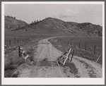 Cattleguard. Big Horn County, Montana