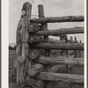 Detail of corral fence. Quarter Circle 'U' Ranch, Montana