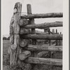 Detail of corral fence. Quarter Circle 'U' Ranch, Montana