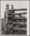 Detail of corral fence. Quarter Circle 'U' Ranch, Montana